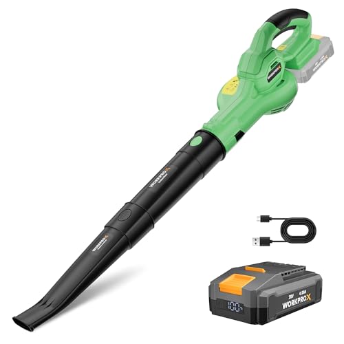 Workprox Akku Laubbl Ser 20v 4 0 Ah