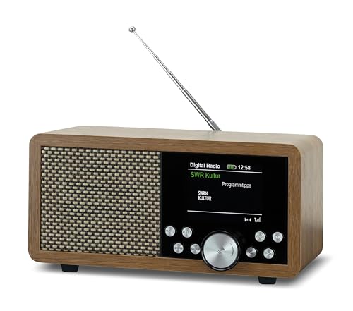Dynavox Dbt600 Dab Radio Tragbares Digitales Ukw Radio