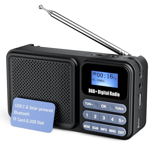Gallypek Tragbares Dab Radio Dab Plus Fm Radio