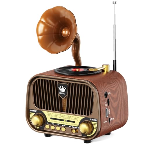 Prunus J 190 Retro Radio Klein Am Fm