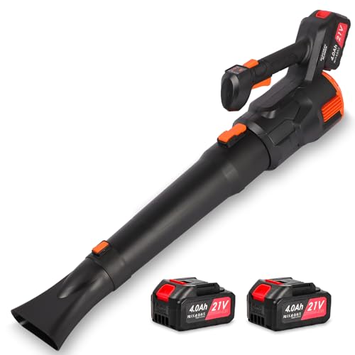 Laubbl Ser Mit Akku Und Ladeger T 21v