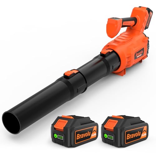 Laubbl Ser Akku 5200 Mah X 2 Mit