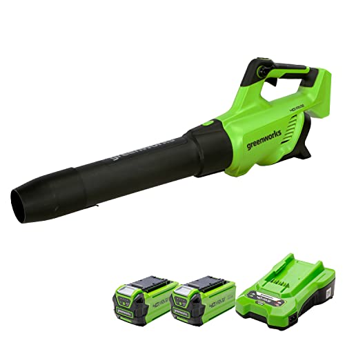 Greenworks Gd40abk2x Axial Akku Laubbl Ser Mit B