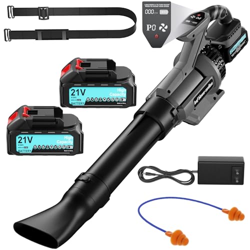 Laubbl Ser Akku 8000 Mah Mit Ladeger T