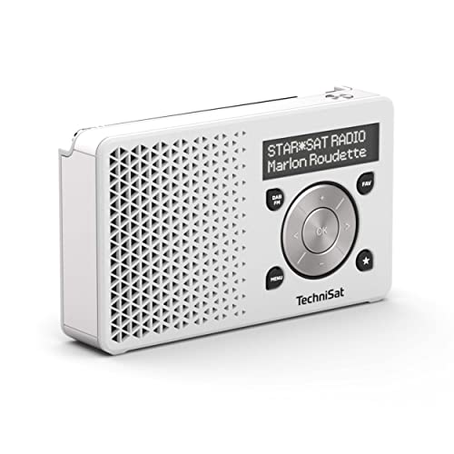 Technisat Digitradio 1 Tragbares Dab Radio Mit Akku