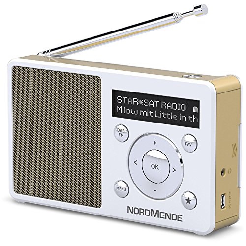 Technisat Transita 100 Tragbares Dab Radio Dab Ukw