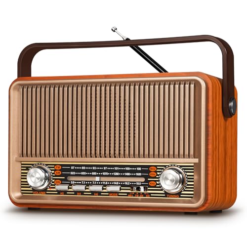 Prunus J 120 Am Fm Sw Retro Radio