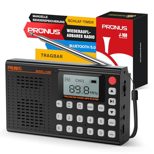 Prunus J 168 Fm Am Sw Digital Radio