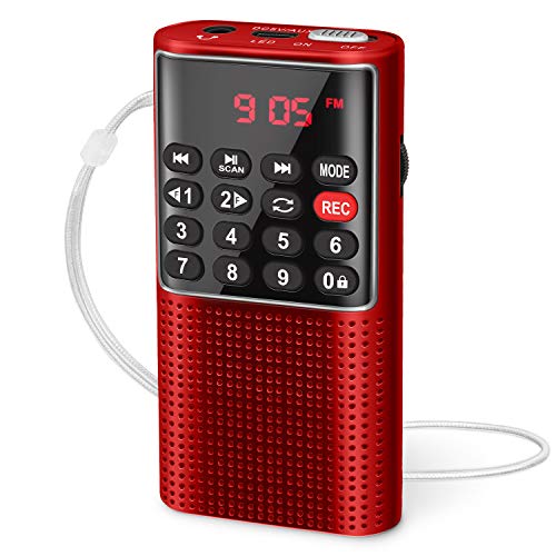 Prunus J 328 Taschenradio Fm Ukw Digital Radio